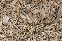biomass boilers Leckfurin