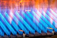 Leckfurin gas fired boilers